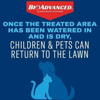 BioAdvanced 24-Hour Grub Killer Plus Lawn Pest Control Granules, 10 lb