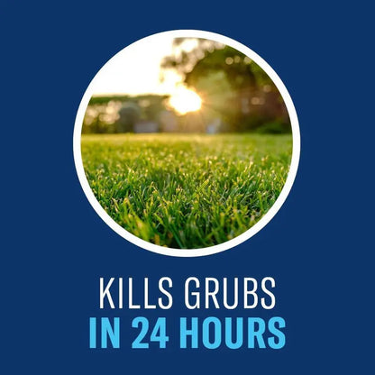 BioAdvanced 24-Hour Grub Killer Plus Lawn Pest Control Granules, 10 lb