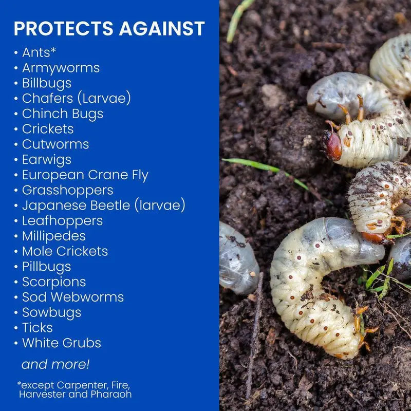 BioAdvanced 24-Hour Grub Killer Plus Lawn Pest Control Granules, 10 lb